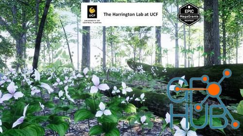 Unreal Engine – Northeastern US Plants and Ecosystems