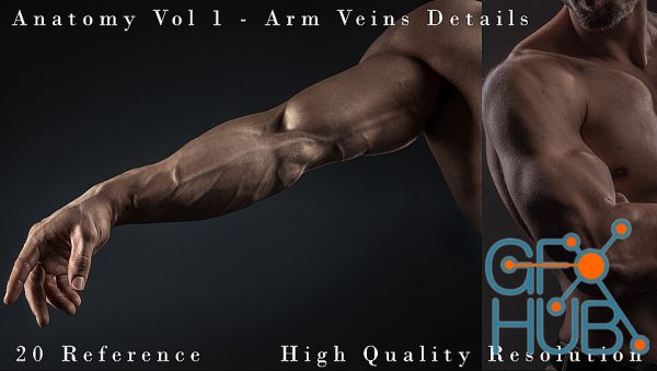 Anatomy Vol 1 - Arm Veins Details