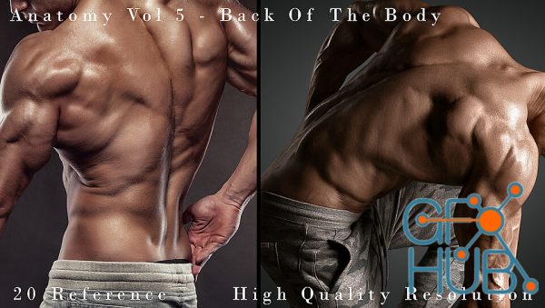 Anatomy Vol 5 - Back Of The Body