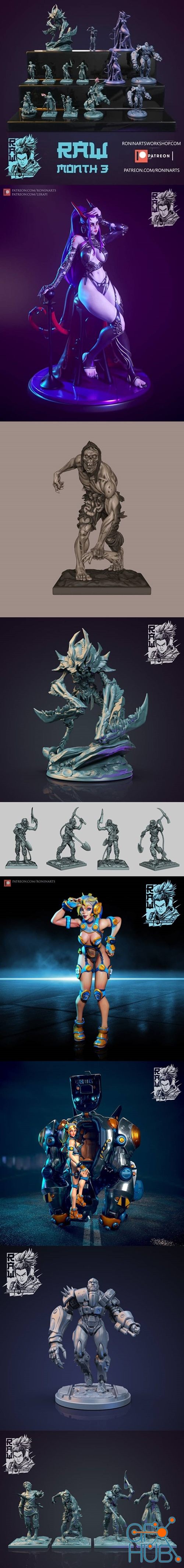 Ronin Arts Workshop RAW Month 3 – 3D Print