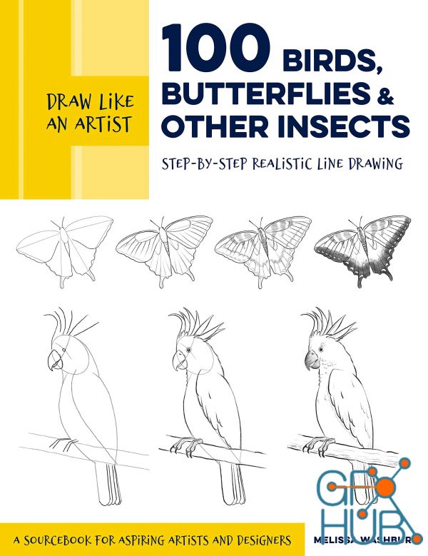 Draw Like an Artist – 100 Birds, Butterflies, and Other Insects – Step-by-Step Realistic Line Drawing (True PDF)