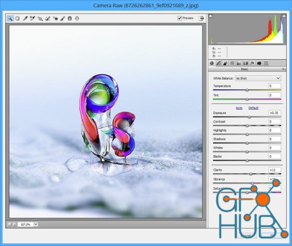 Adobe Camera Raw v14.2 Win x64