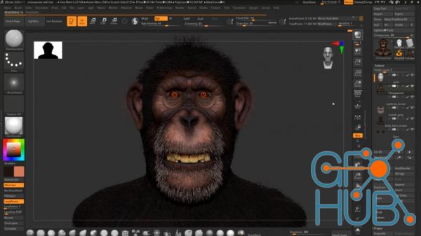 Create a Realistic Chimpanzee in Zbrush