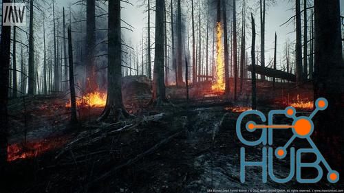 Unreal Engine – MW Burned Dead Trees Forest Biome