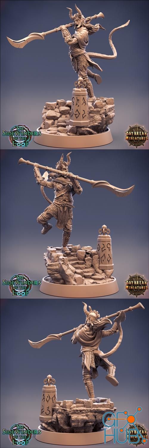 Saanya Shadowlancer – 3D Print