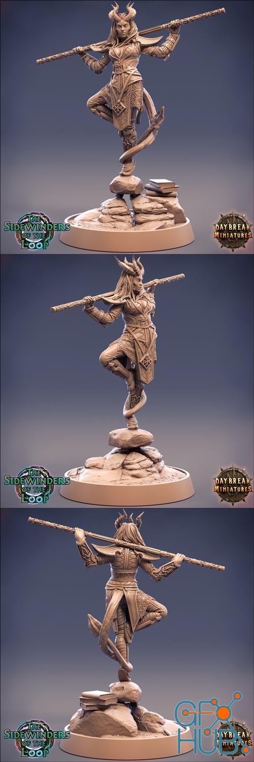 Jaanda Hightreader – 3D Print