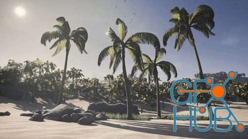 Unreal Engine – Tropical Island Environment