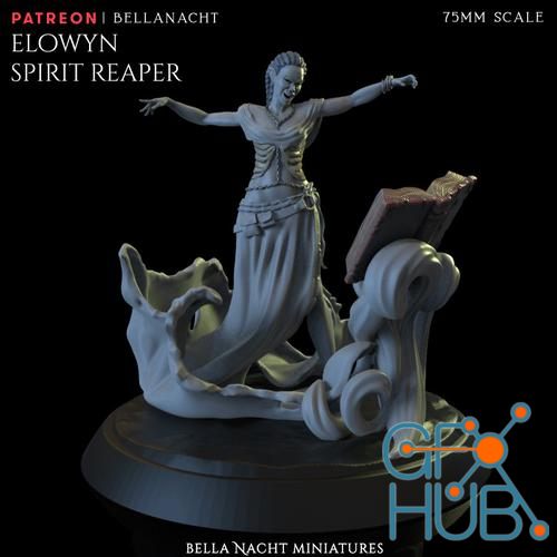 Elowyn – 3D Print