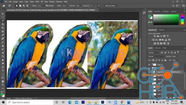 Adobe Photoshop Tutorials All Batches Classes for Beginners