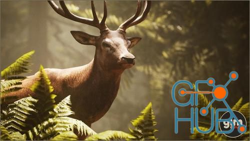 Unreal Engine – Animalia - Red Deer (male)