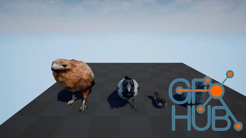 Unreal Engine – Bird Band