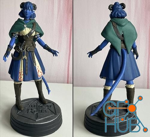 Jester Lavorre Critical Role – 3D Print