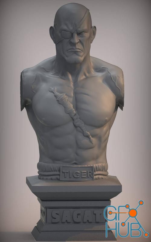 Sagat bust – 3D Print