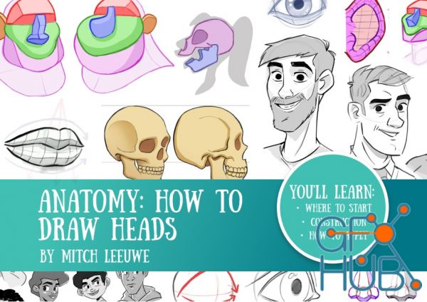 Anatomy – How to Draw the Heads (PDF)