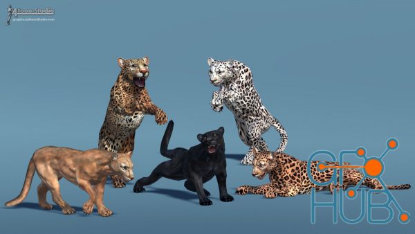 Unity Asset Store – Big Cats Bundle (3 pcs)