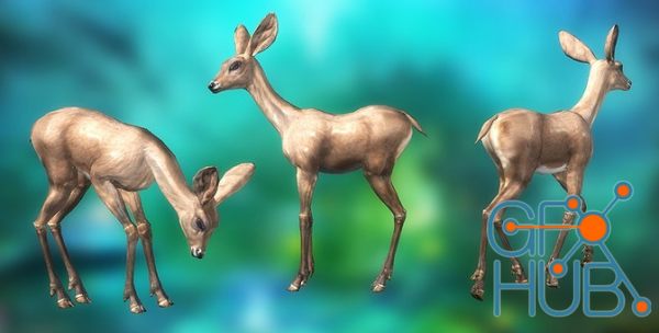 Unity Asset Store – Fawn