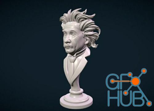Einstein – 3D Print