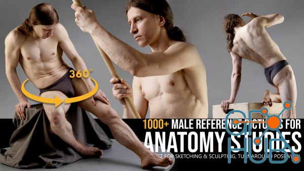 1000+ Turnaround Male Reference Pictures for Anatomy Studies