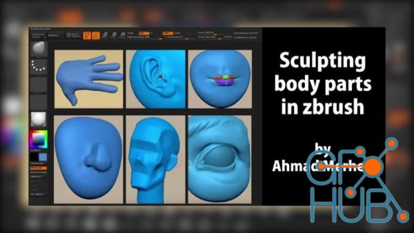 Sculpting Body Parts in Zbrush For Animation