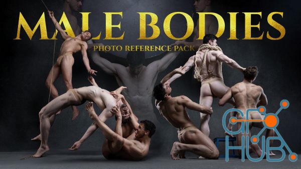 Male Bodies- Photo Reference Pack For Artists-163 JPEGs