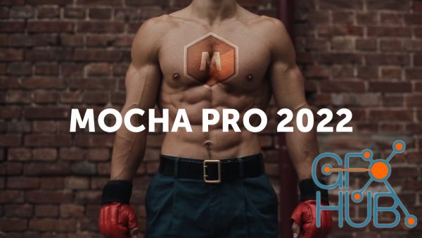 Boris FX Mocha Pro 2022.5 v9.5.2 Build 9 Win x64