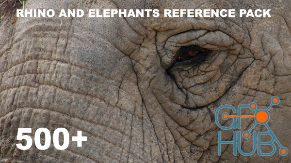 500+ Rhino and Elephants - Pack Références