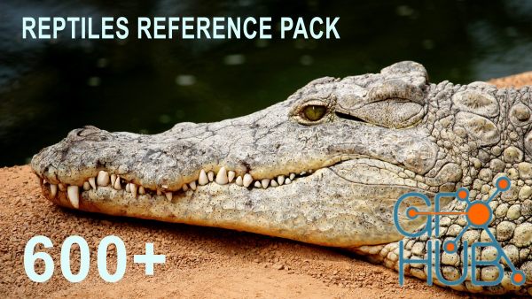 600+ Reptiles - Pack References