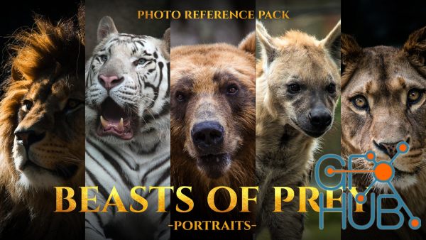 Beasts of Prey- Portraits Photo Reference Pack For Artists 213 JPEGs