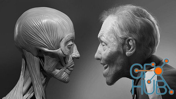 Udemy – Facial Anatomy & Character Portrait for Blender Artists