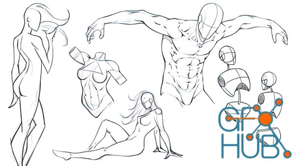 Udemy – Figure Drawing – The Body In Action