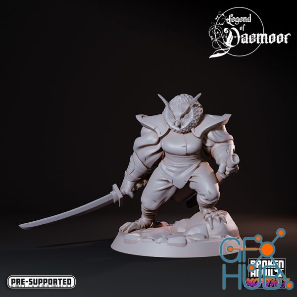 OwlFolk Sword Saint