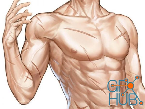 Class101 – From Visualization to Illustration: Understanding Basic Anatomy and Rendering