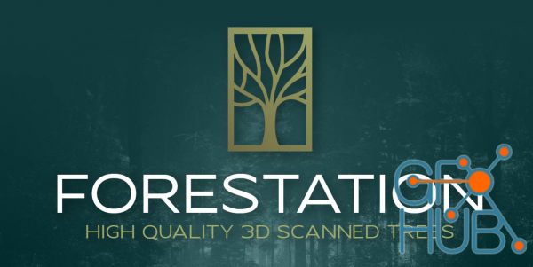 Blender Market – Forestation – High Quality 3d Scanned Trees V1