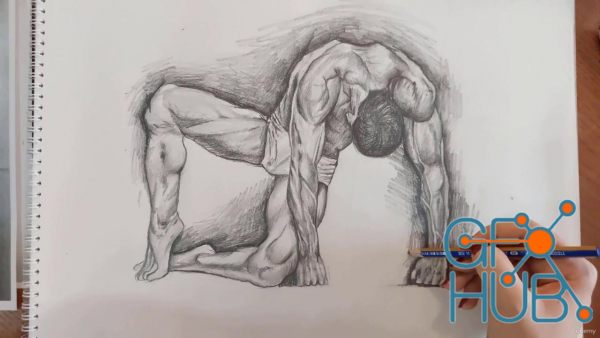 Udemy – Figure Drawing Course From Beginner to Advanced