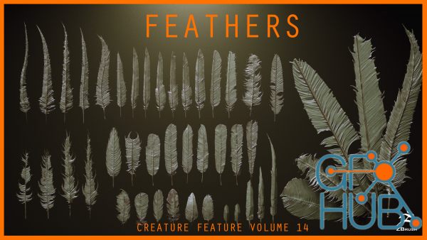 ArtStation – FEATHERS - 40 High poly sculpts and IMM Brush
