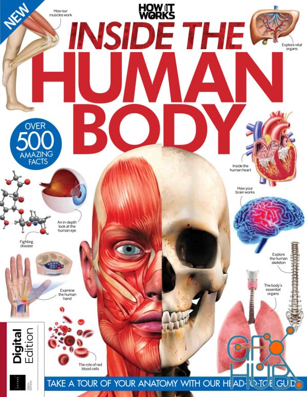 How It Works – Inside The Human Body – 10th Edition, 2022 (True PDF)