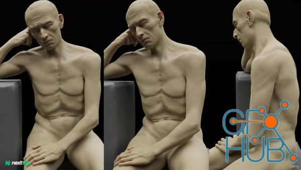 Udemy – Anatomy Masterclass in Blender: Learn Male Human Anatomy