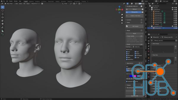 FaceBuilder 2022.2.0 for Blender 2.93+