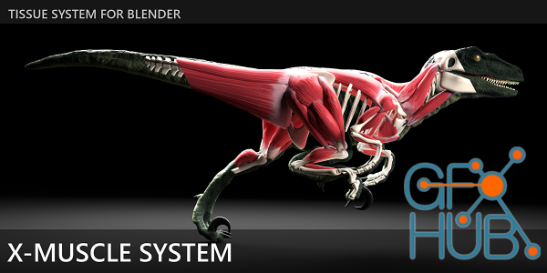 Blender Market – X-Muscle System 3.0 XL