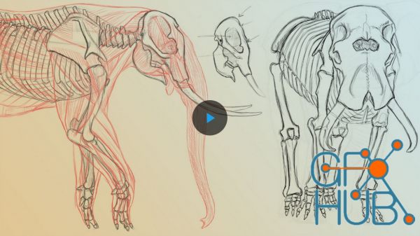 The Gnomon Workshop – Elephant Anatomy Vol. 2: Prehistoric Studies & Imaginary Concepts