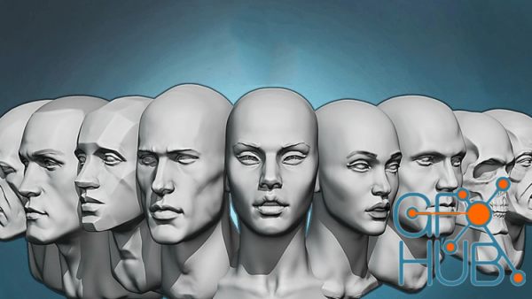 Udemy – Head anatomy and sculpting exercises course