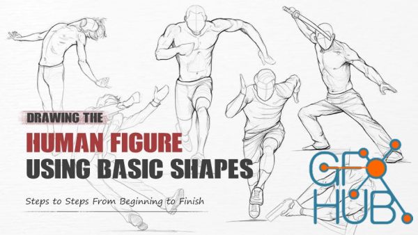 Wingfox – Drawing the Human Figure Using Basic Shapes