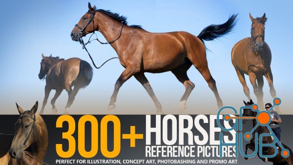 ArtStation – 300+ Horses Reference Pictures