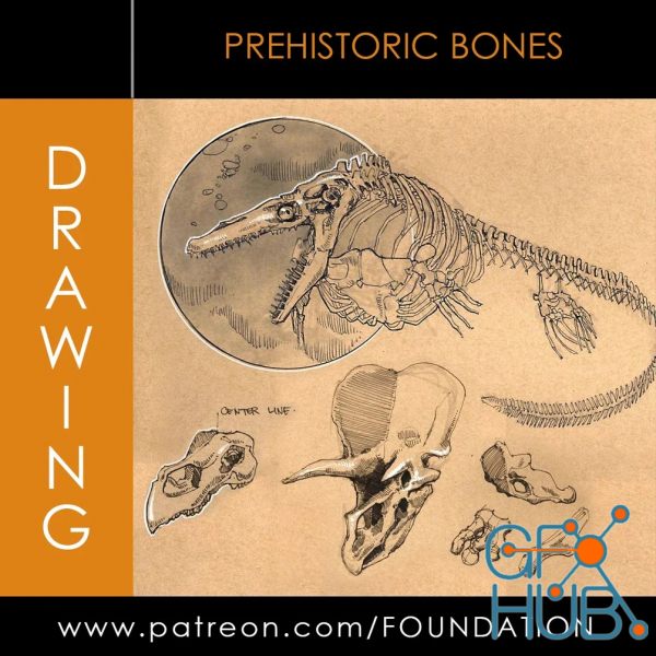 Gumroad – Foundation Patreon – Dynamic Sketching: Prehistoric Bones