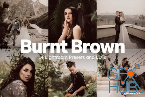 Envato – 14 Burnt Brown Lightroom Presets and LUTs