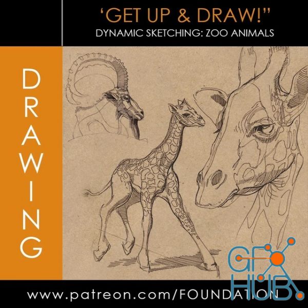 Gumroad – Foundation Patreon – Dynamic Sketching: Zoo Animals