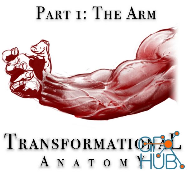 Gumroad – Transformational Anatomy Part 1: The Arm
