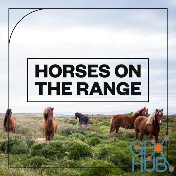 Blastwave FX – Horses on the Range