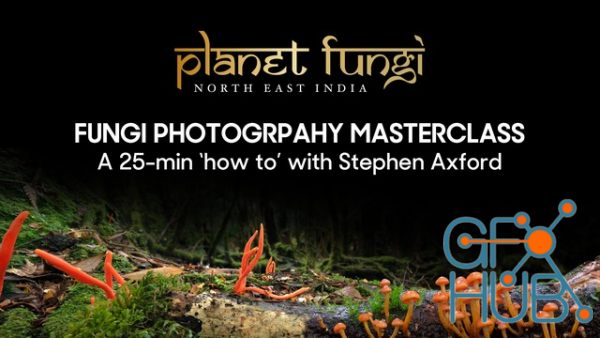 Gumroad – Fungi photography masterclass