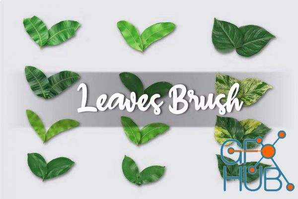 Envato – Realistic Leaves Brush for Illustrator